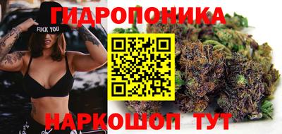 дживик Лесосибирск
