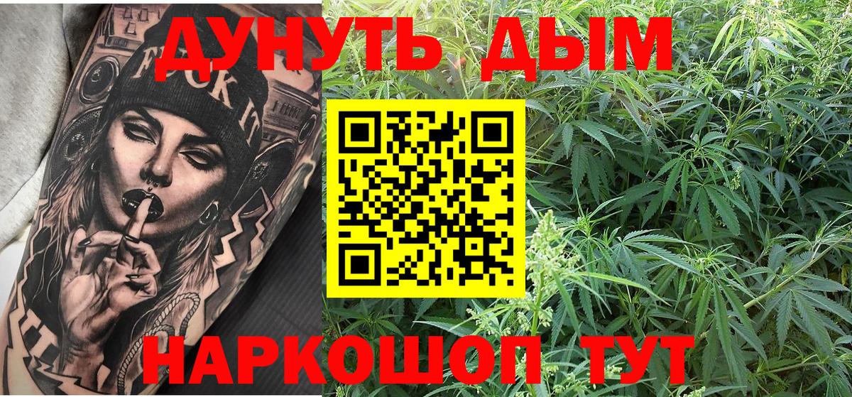 Славгород  Бошки марихуана сатива  Вход с VPN  Канабис сатива 