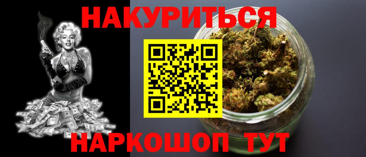 Конопля сатива Славгород